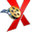 ConvertXtoDVD logo