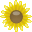 FCorp Imaging logo