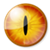 Simple Watcher logo