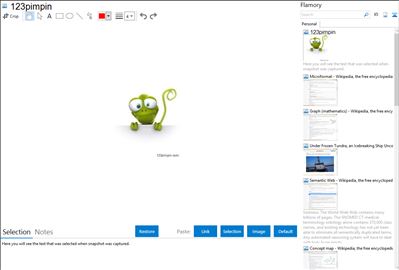 123pimpin - Flamory bookmarks and screenshots