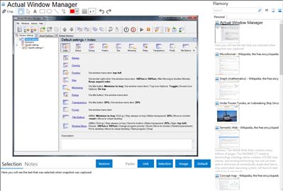 Actual Window Manager - Flamory bookmarks and screenshots