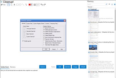 Cleanup! - Flamory bookmarks and screenshots