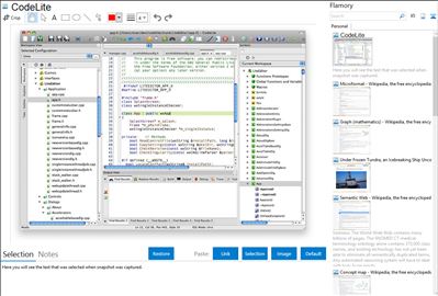 CodeLite - Flamory bookmarks and screenshots
