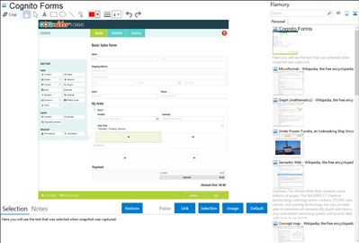 Cognito Forms - Flamory bookmarks and screenshots