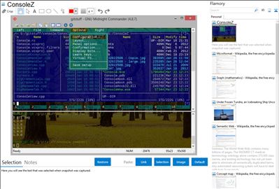ConsoleZ - Flamory bookmarks and screenshots
