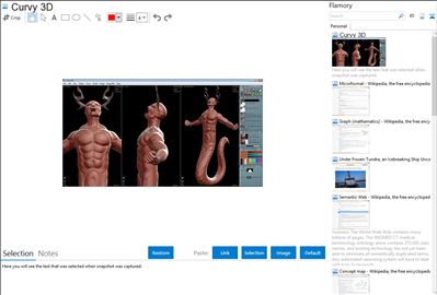 Curvy 3D - Flamory bookmarks and screenshots