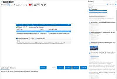 Deleaker - Flamory bookmarks and screenshots