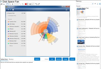 Disk Space Fan - Flamory bookmarks and screenshots
