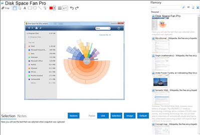 Disk Space Fan Pro - Flamory bookmarks and screenshots