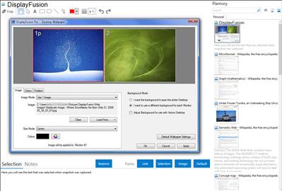 DisplayFusion - Flamory bookmarks and screenshots