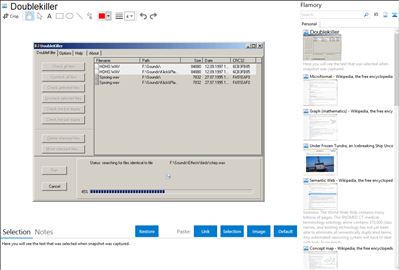 Doublekiller - Flamory bookmarks and screenshots