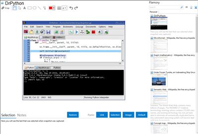 DrPython - Flamory bookmarks and screenshots