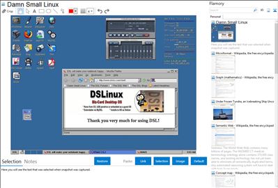 Damn Small Linux - Flamory bookmarks and screenshots