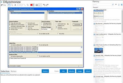 DSynchronize - Flamory bookmarks and screenshots