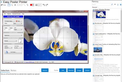 Easy Poster Printer - Flamory bookmarks and screenshots