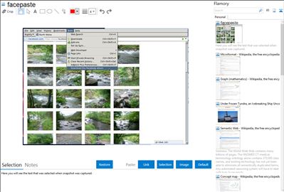 facepaste - Flamory bookmarks and screenshots