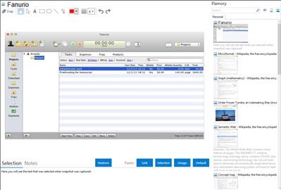 Fanurio - Flamory bookmarks and screenshots