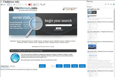 FileMirror.Info - Flamory bookmarks and screenshots