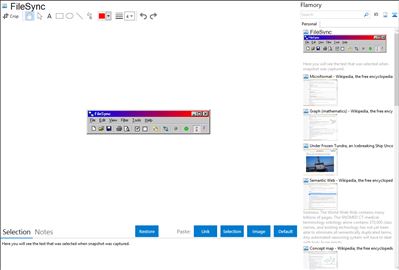 FileSync - Flamory bookmarks and screenshots