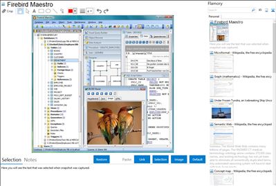 Firebird Maestro - Flamory bookmarks and screenshots