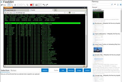 FireSSH - Flamory bookmarks and screenshots
