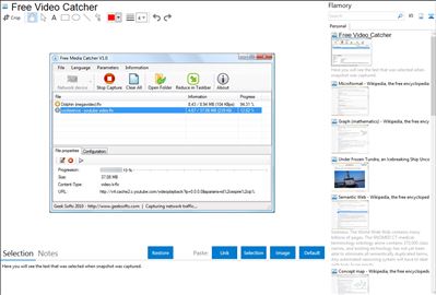 Free Video Catcher - Flamory bookmarks and screenshots