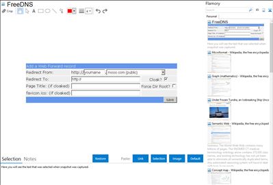 FreeDNS - Flamory bookmarks and screenshots