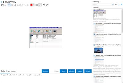 FreeProxy - Flamory bookmarks and screenshots