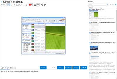 Gaviri SearchOS - Flamory bookmarks and screenshots