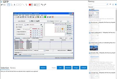 GFP - Flamory bookmarks and screenshots