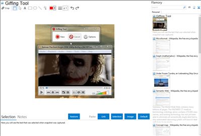 Giffing Tool - Flamory bookmarks and screenshots