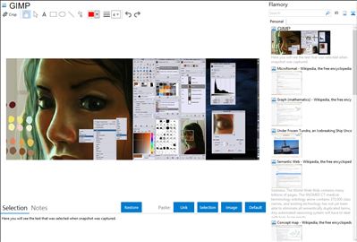 GIMP - Flamory bookmarks and screenshots