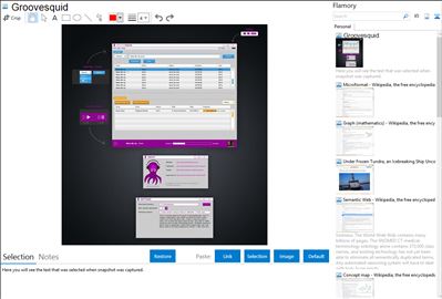 Groovesquid - Flamory bookmarks and screenshots