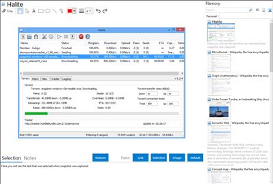 Halite - Flamory bookmarks and screenshots