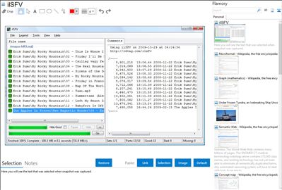 ilSFV - Flamory bookmarks and screenshots