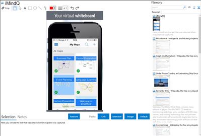 iMindQ - Flamory bookmarks and screenshots