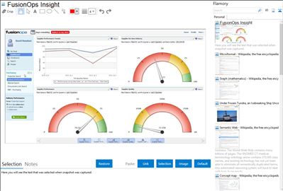 FusionOps Insight - Flamory bookmarks and screenshots