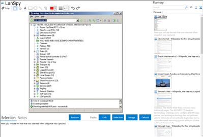 LanSpy - Flamory bookmarks and screenshots