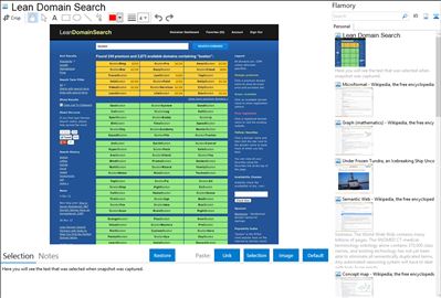 Lean Domain Search - Flamory bookmarks and screenshots