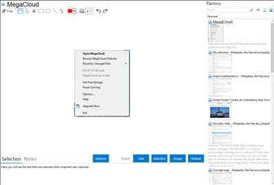 MegaCloud - Flamory bookmarks and screenshots