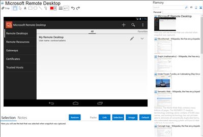 Microsoft Remote Desktop - Flamory bookmarks and screenshots