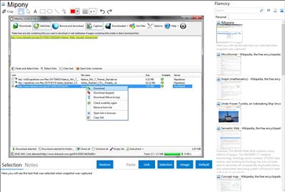 Mipony - Flamory bookmarks and screenshots