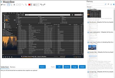 MusicBee - Flamory bookmarks and screenshots
