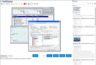 NetPeeker - Flamory bookmarks and screenshots