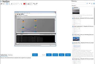 NetSim - Flamory bookmarks and screenshots