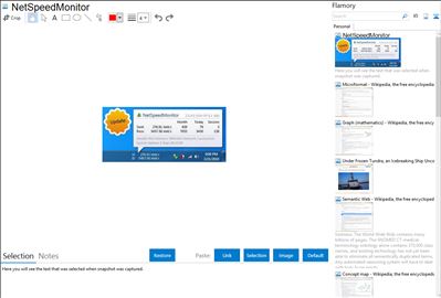 NetSpeedMonitor - Flamory bookmarks and screenshots