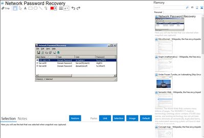 Network Password Recovery - Flamory bookmarks and screenshots