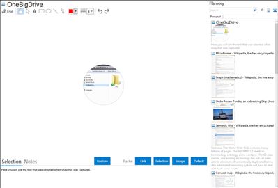 OneBigDrive - Flamory bookmarks and screenshots