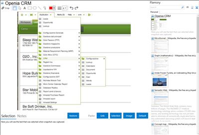 Openia CRM - Flamory bookmarks and screenshots