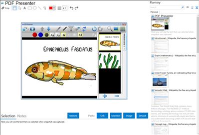 PDF Presenter - Flamory bookmarks and screenshots